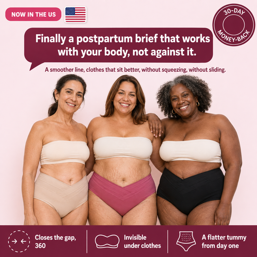 Saymika High-Waisted Tummy Control Brief